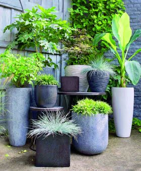 Susannas garden design: Att odla i kruka – växter på höjden, bredden och längden