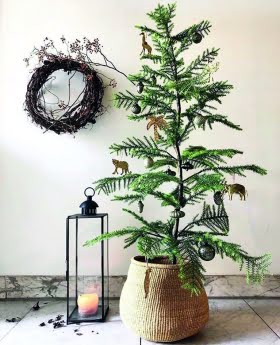susannas-garden-design-grnskande-julstmning.png