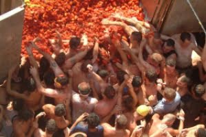 tomatkastarfest.png