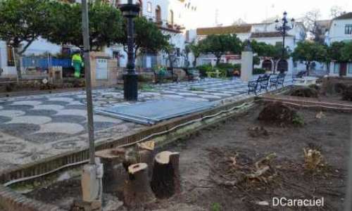 apelsintorget-i-marbella-gors-om-men-det-vacker-ilska.png