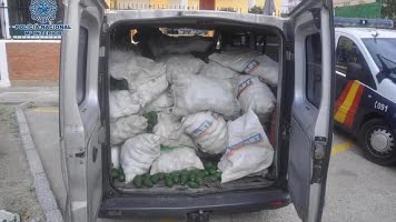 avokadotjuvar-misstanks-ha-stulit-17500-kilo.png