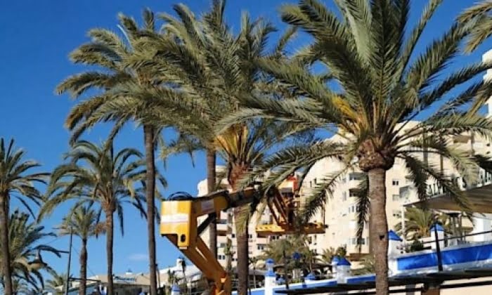 estepona-beskar-mer-an-tusen-trad-och-palmer.png
