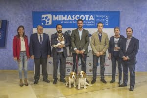 husdjursmassan-mi-mascota-till-helgen-i-malaga.png