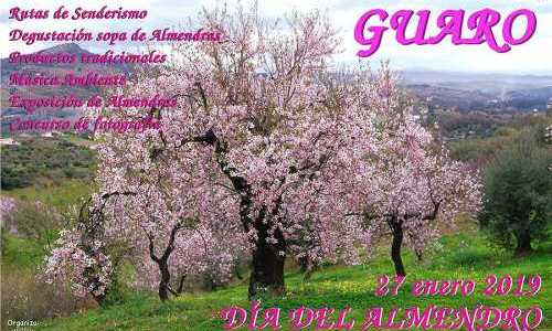 mandelblomsfestival-i-guaro.png
