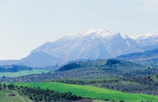 sierra-de-las-nieves-far-status-som-nationalpark.png