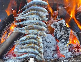 spanien-och-portugal-foreslar-en-gemensam-fiskeplan.png