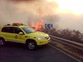 svensk-kvinna-omkom-i-brand-pa-gran-canaria-skulle-skydda-sina-djur.png