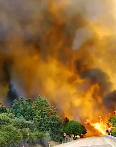 Brand vid väg