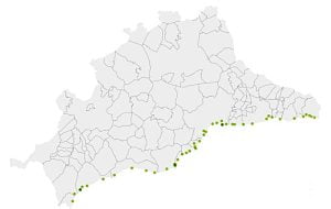 Stränder