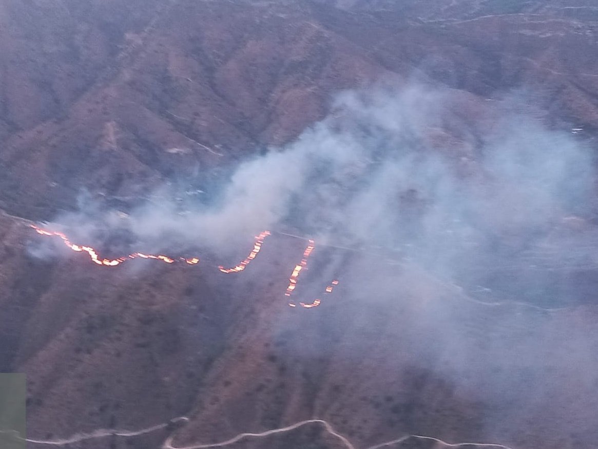 brand almunecar