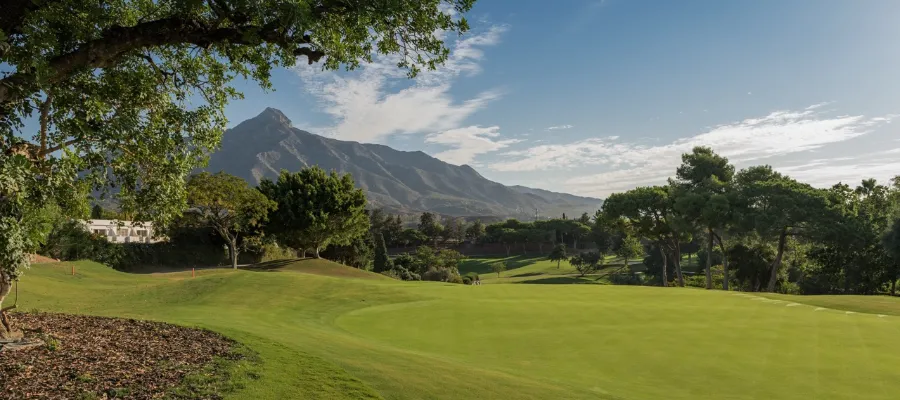 Haeggman, Sandelin och Fasth bland golflegendarer på Aloha