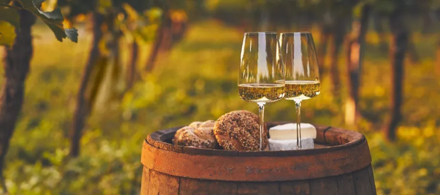 Så skapar du den perfekta vinkällaren – från idé till verklighet