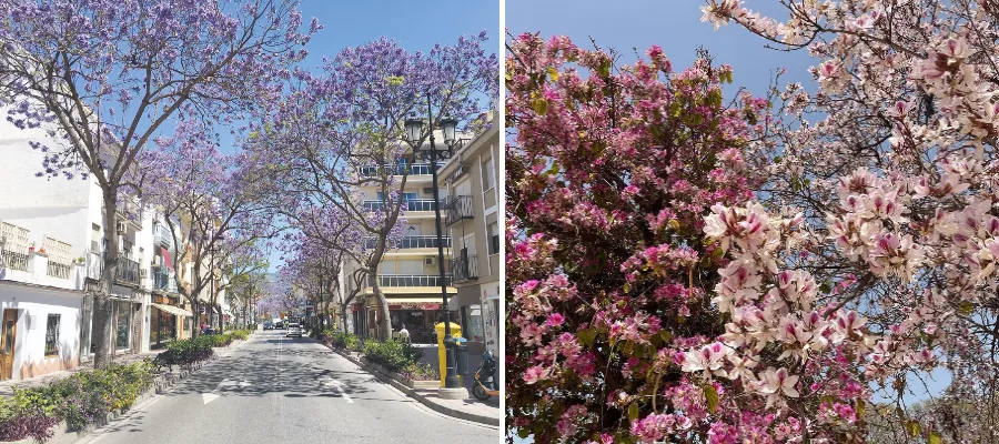 Hej Läsare: Sköna maj välkommen