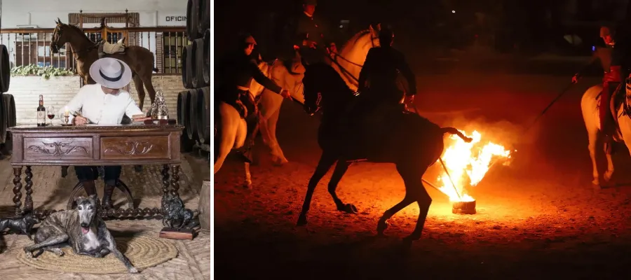 Artisten José León i Fuengirola med färgsprakande Tierra de Caballos