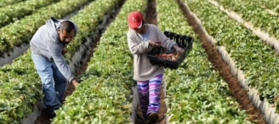 Nestlé investerar i hållbarhet inom Spaniens jordbruk