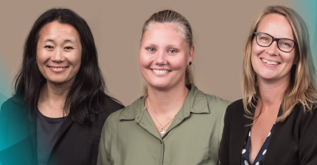 The Danish consultant team