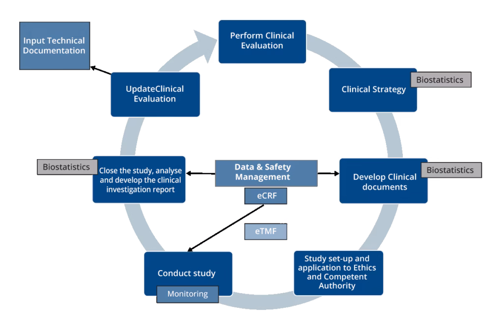 Graph showing the clinical development process: Perform clinical evaluation, Clinical strategy/Biostatistics, Develop clinical documents/Biostatistics, Study set-up and application to ethics and competent authority, Contact study/Monitoring, Close the studym analyse and develop the clinical investigating report/Biostatistics, Update clinical evaluation