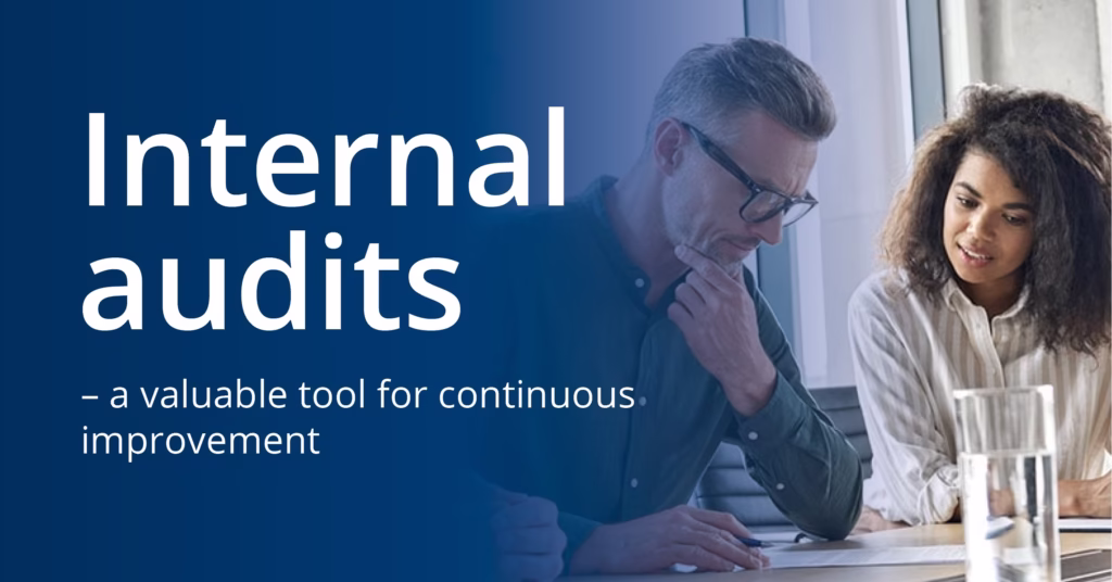 Internal Audits